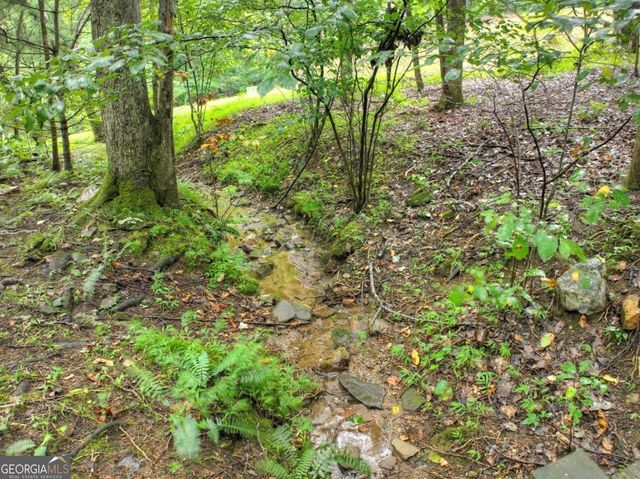 430 Chestnut Ridge 10, Blue Ridge, GA 30513