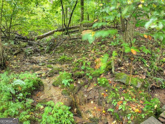 430 Chestnut Ridge 10, Blue Ridge, GA 30513