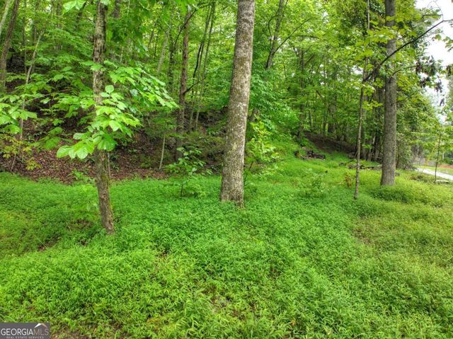 430 Chestnut Ridge 10, Blue Ridge, GA 30513