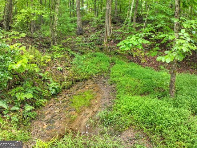 430 Chestnut Ridge 10, Blue Ridge, GA 30513