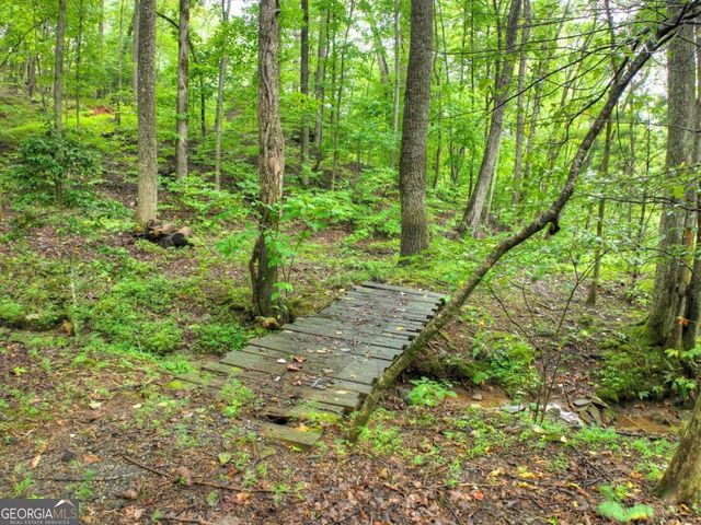 430 Chestnut Ridge 10, Blue Ridge, GA 30513