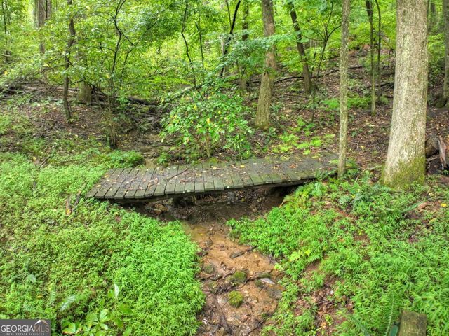 430 Chestnut Ridge 10, Blue Ridge, GA 30513