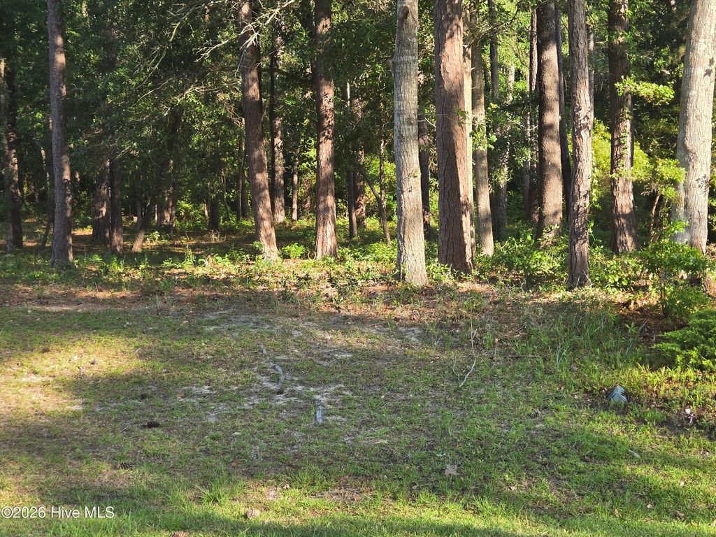 3840 Timber Stream Drive, Southport, NC 28461