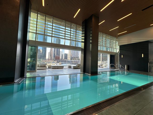 313 W Wolf Point Plaza 1910, Chicago, IL 60654