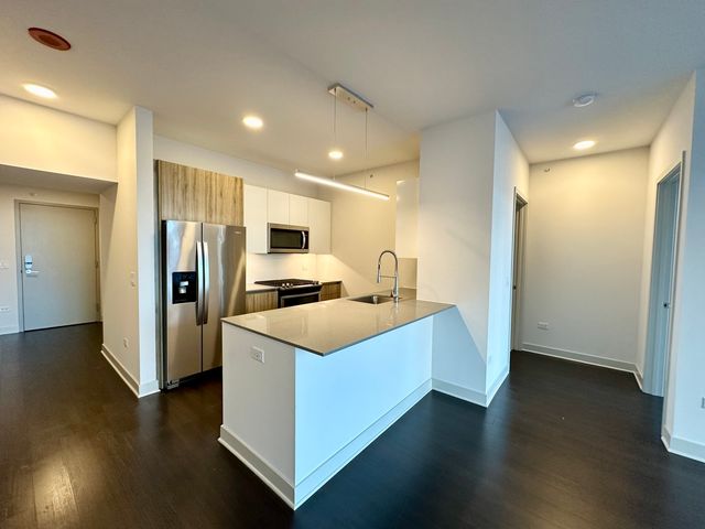 313 W Wolf Point Plaza 1910, Chicago, IL 60654