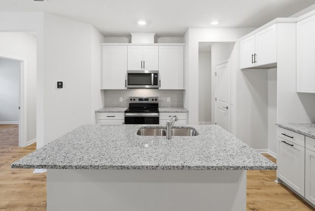 210 Twinleaf Court, Charleston, SC 29414