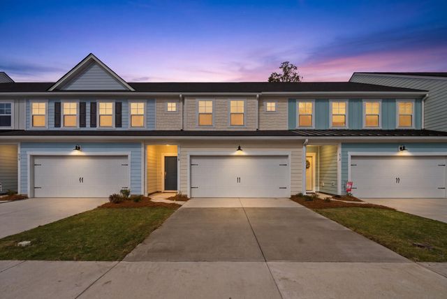 210 Twinleaf Court, Charleston, SC 29414