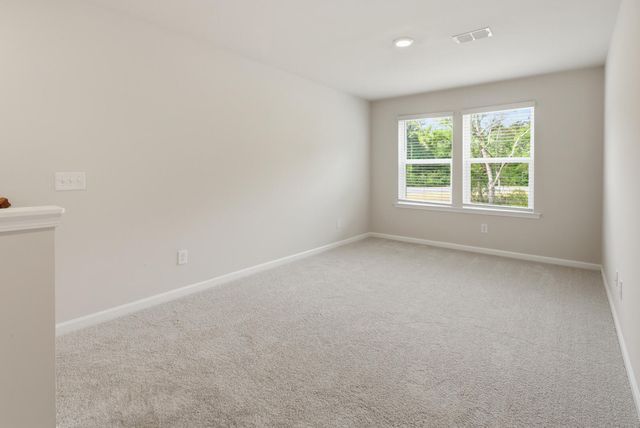 210 Twinleaf Court, Charleston, SC 29414