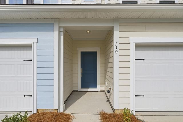 210 Twinleaf Court, Charleston, SC 29414