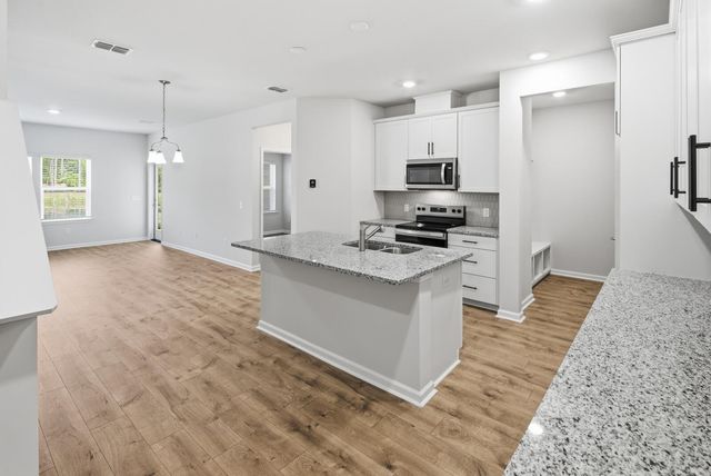 210 Twinleaf Court, Charleston, SC 29414