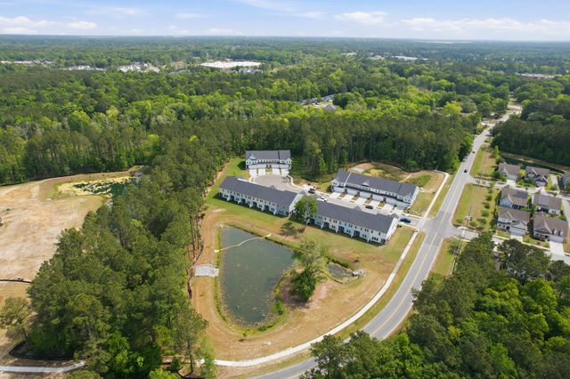 210 Twinleaf Court, Charleston, SC 29414