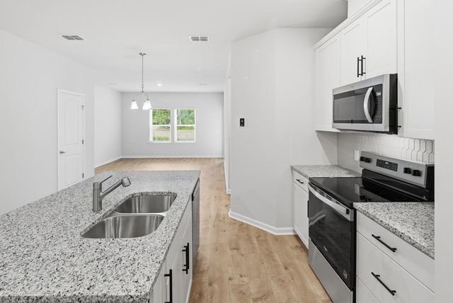 210 Twinleaf Court, Charleston, SC 29414