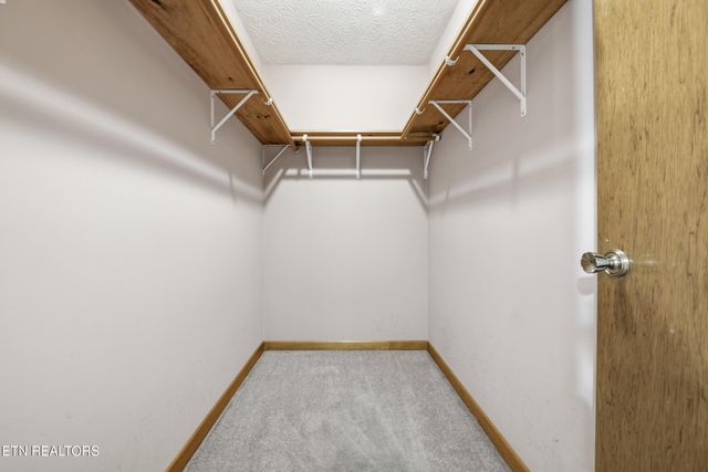 3522 Bogard Rd, Cosby, TN 37722