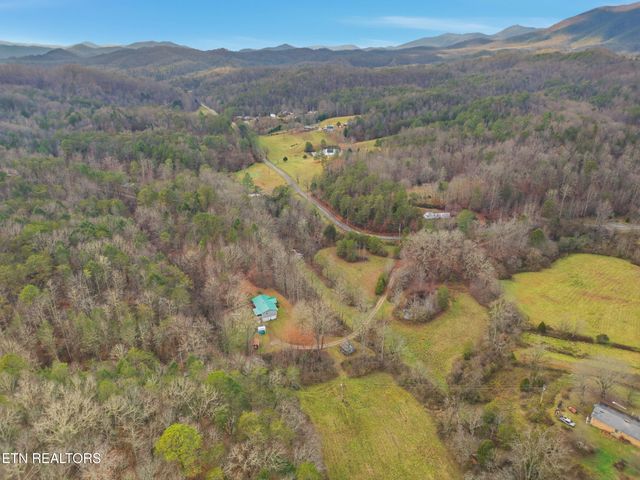 3522 Bogard Rd, Cosby, TN 37722