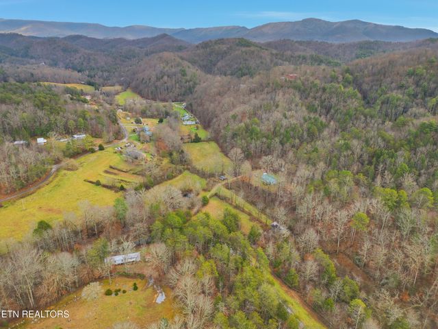 3522 Bogard Rd, Cosby, TN 37722