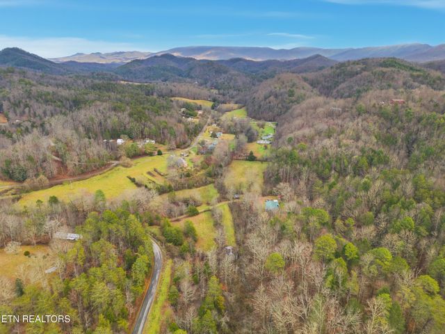 3522 Bogard Rd, Cosby, TN 37722