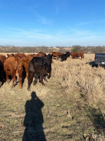10.5 acres OHANLON Road, Whitesboro, TX 76273