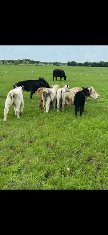 10.5 acres OHANLON Road, Whitesboro, TX 76273