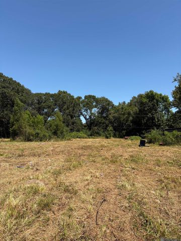6493 Port Hudson Pride Rd, Slaughter, LA 70777