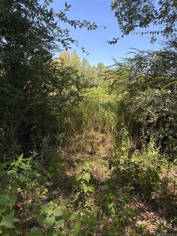 6493 Port Hudson Pride Rd, Slaughter, LA 70777