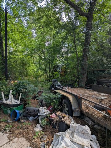 25102 Burrard Street, Spring, TX 77373