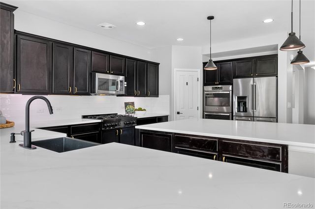 493 Sudbury Street, Castle Rock, CO 80104
