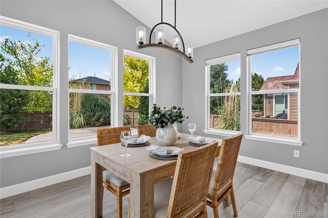 493 Sudbury Street, Castle Rock, CO 80104