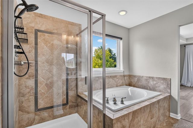 493 Sudbury Street, Castle Rock, CO 80104