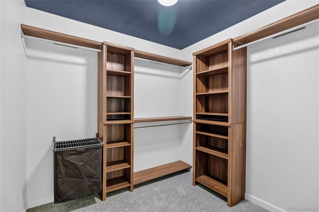 493 Sudbury Street, Castle Rock, CO 80104