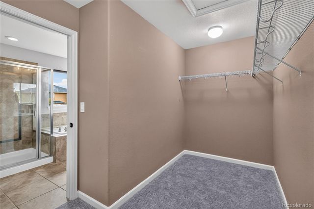 493 Sudbury Street, Castle Rock, CO 80104