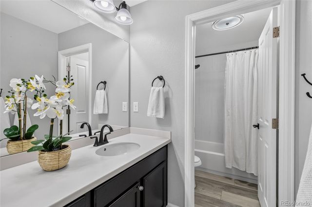 493 Sudbury Street, Castle Rock, CO 80104
