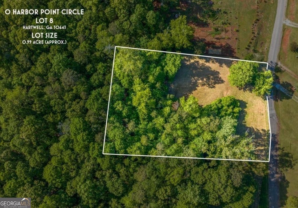 424 Harbor Point LOT 8, Hartwell, GA 30643 — photo 4