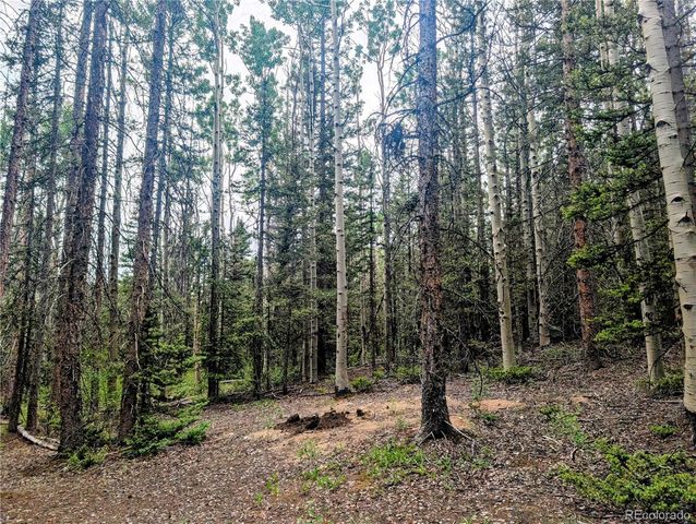 8.5 Acres Phillips Road, Fort Garland, CO 81133