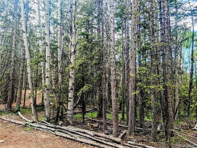 8.5 Acres Phillips Road, Fort Garland, CO 81133