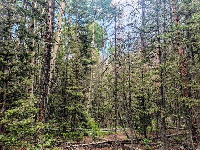 8.5 Acres Phillips Road, Fort Garland, CO 81133