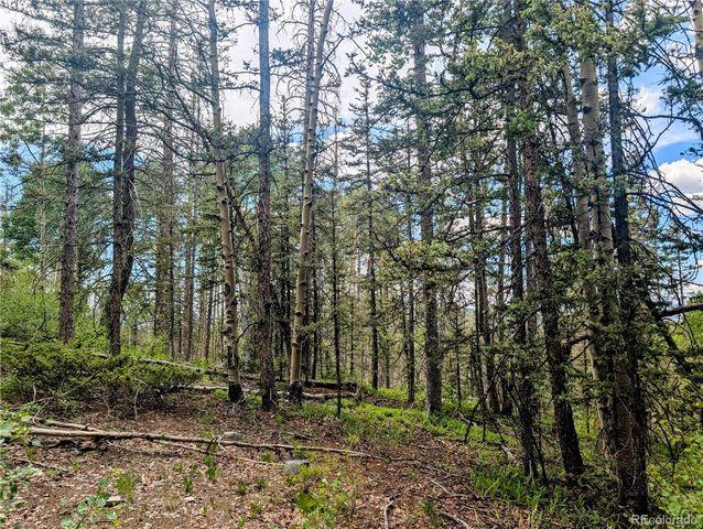 8.5 Acres Phillips Road, Fort Garland, CO 81133