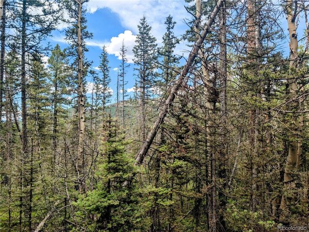 8.5 Acres Phillips Road, Fort Garland, CO 81133