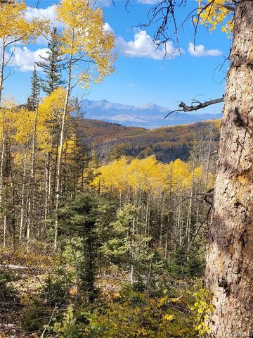 8.5 Acres Phillips Road, Fort Garland, CO 81133