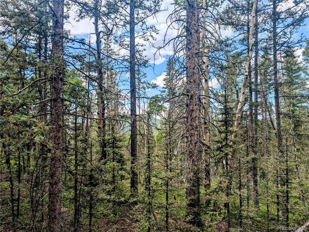 8.5 Acres Phillips Road, Fort Garland, CO 81133