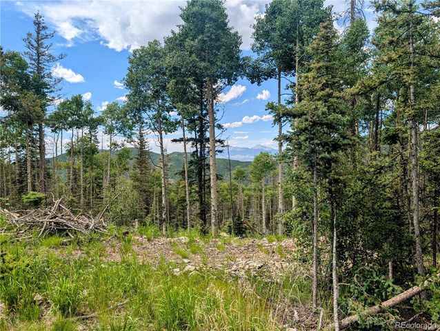 8.5 Acres Phillips Road, Fort Garland, CO 81133