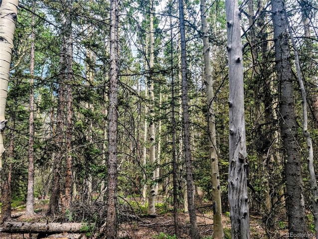 8.5 Acres Phillips Road, Fort Garland, CO 81133