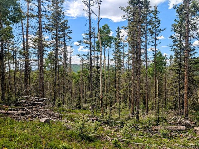 8.5 Acres Phillips Road, Fort Garland, CO 81133