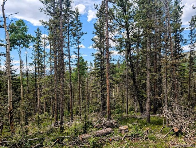 8.5 Acres Phillips Road, Fort Garland, CO 81133