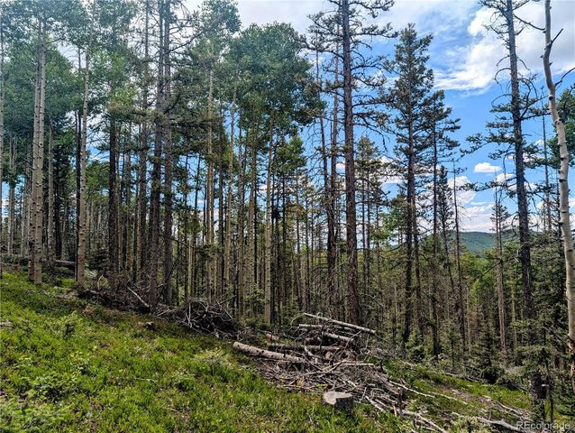 8.5 Acres Phillips Road, Fort Garland, CO 81133