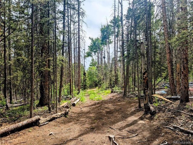 8.5 Acres Phillips Road, Fort Garland, CO 81133