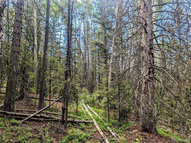 8.5 Acres Phillips Road, Fort Garland, CO 81133