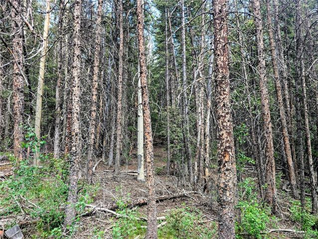 8.5 Acres Phillips Road, Fort Garland, CO 81133