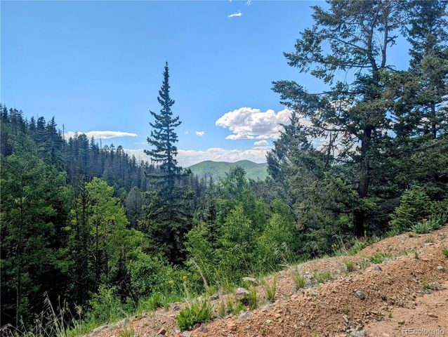 8.5 Acres Phillips Road, Fort Garland, CO 81133