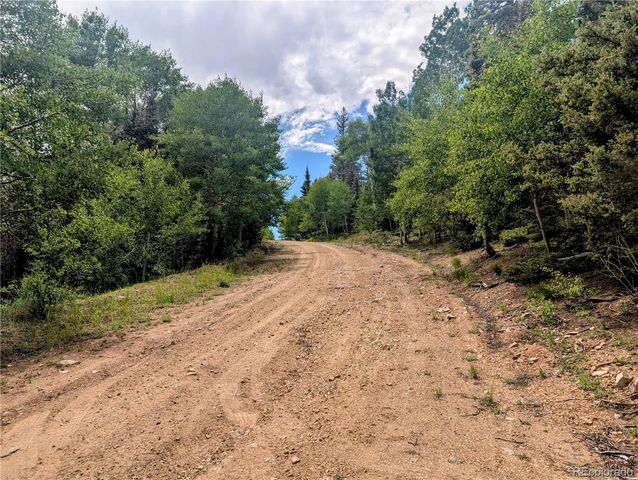8.5 Acres Phillips Road, Fort Garland, CO 81133