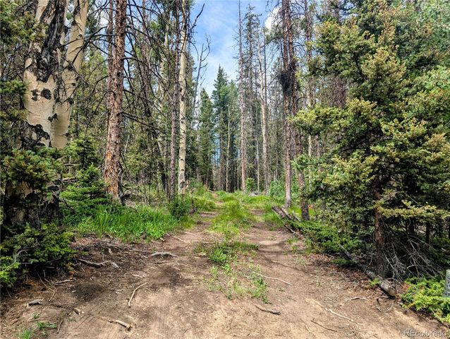 8.5 Acres Phillips Road, Fort Garland, CO 81133